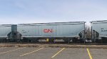 CN 114496